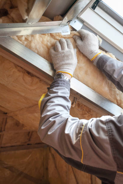 Best Affordable Insulation Services  in Lakewood, SC