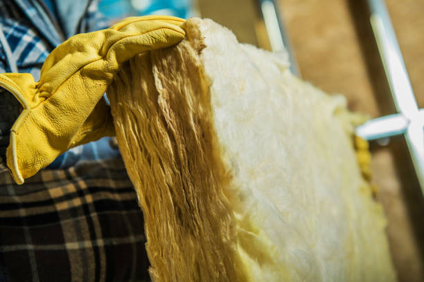 Best Attic Insulation Installation  in Lakewood, SC