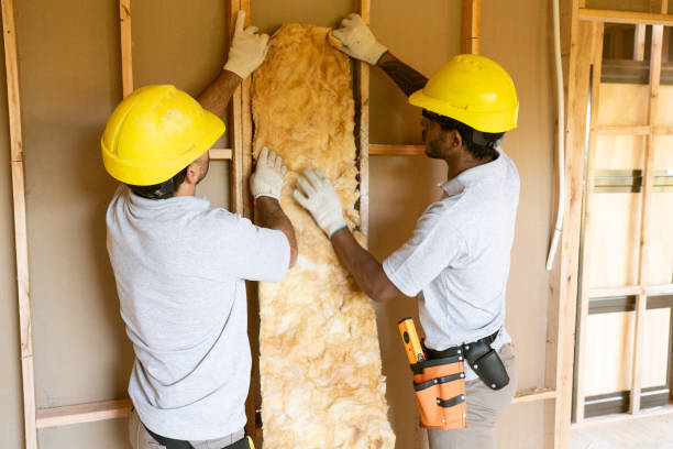 Best Commercial Insulation Contractor  in Lakewood, SC