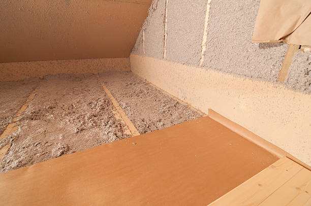 Best Attic Insulation Installation  in Lakewood, SC