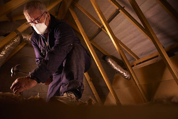 Professional Insulation Contractor in Lakewood, SC
