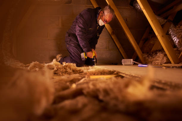 Best Local Insulation Services  in Lakewood, SC